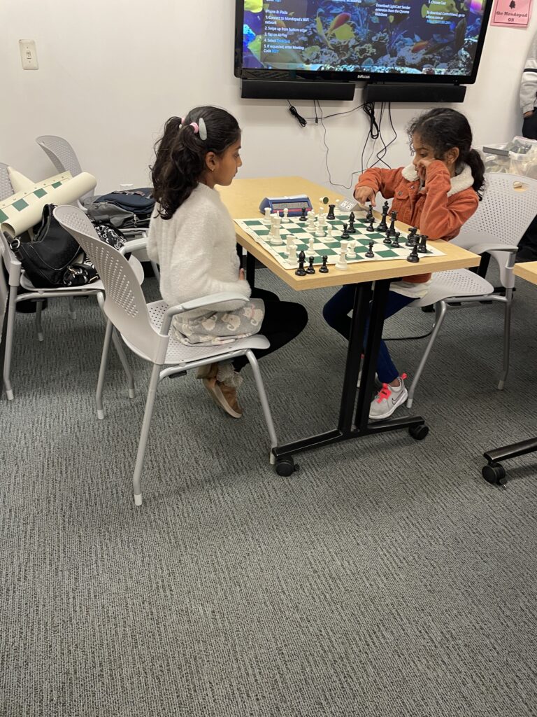 [PAST EVENT] Chess Lesson and Free Play photo