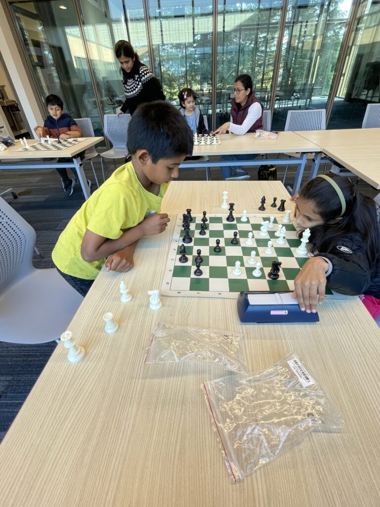[PAST EVENT] Chess Lesson and Free Play photo