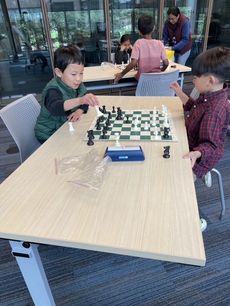 [PAST EVENT] Chess Lesson and Free Play photo