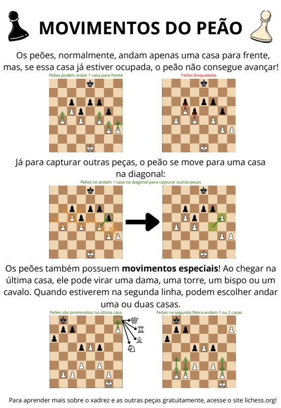 Teaching chess in Brazil banner